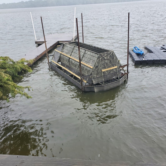 Best Seasons for Ducks= Best Seasons for Docks!