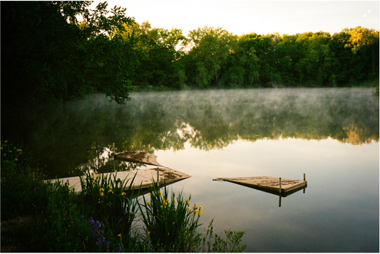 Don't Get Dock Blocked: 5 Essential Tips for a Long and Happy Dock