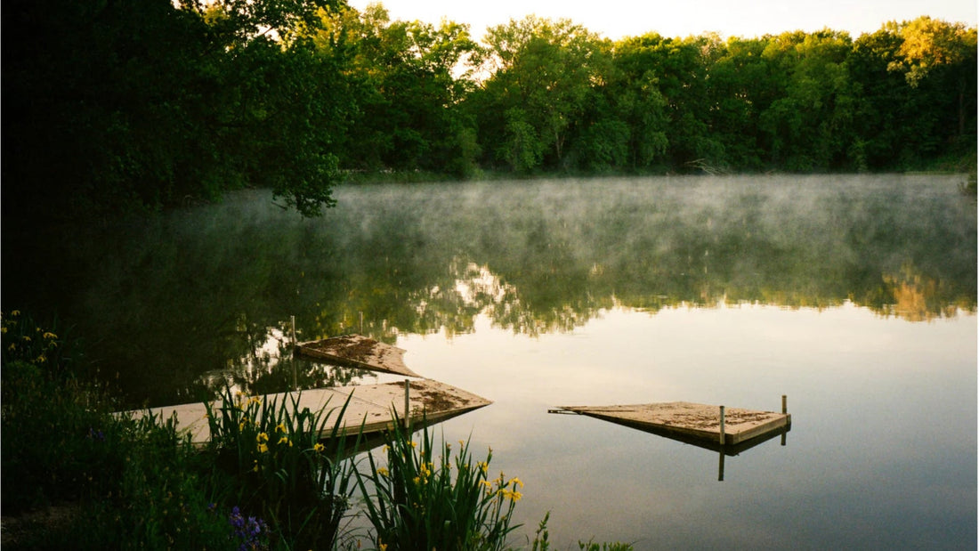 Don't Get Dock Blocked: 5 Essential Tips for a Long and Happy Dock