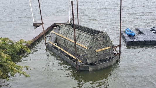 Best Seasons for Ducks= Best Seasons for Docks!