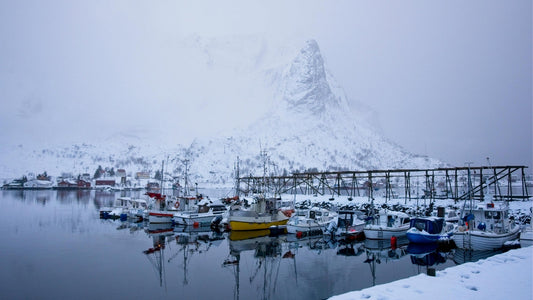 How to Winterize Your Dock