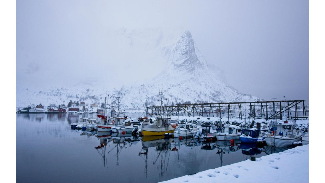 How to Winterize Your Dock